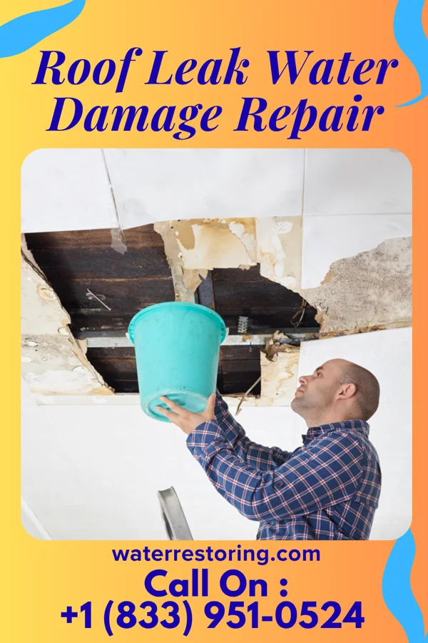 Roof Leak Water Damage Repair in Stacy, MN
